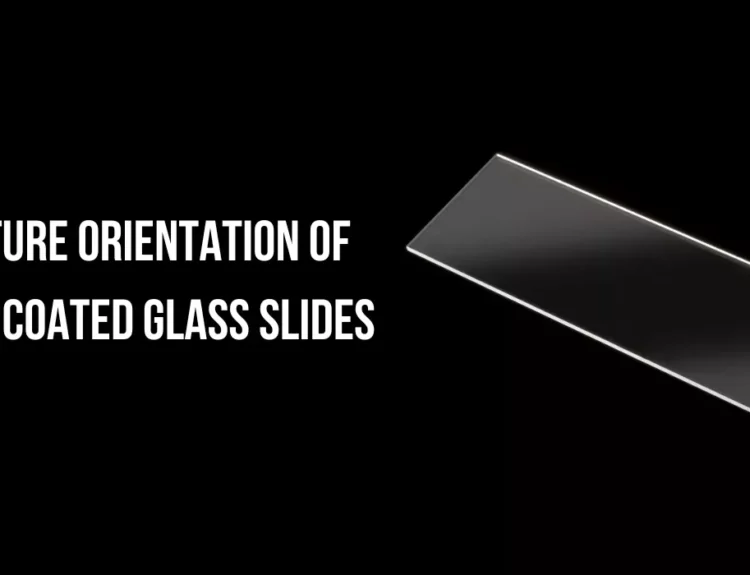 Future Orientation of ITO Coated Glass Slides