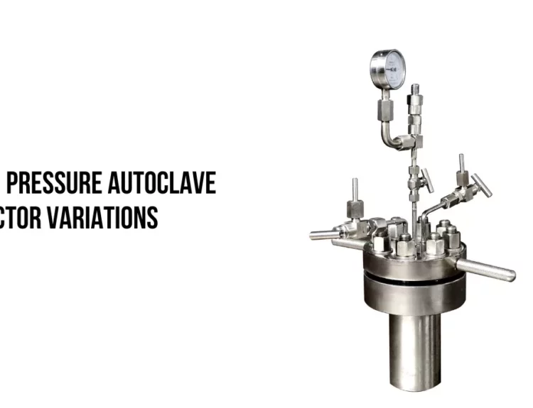 High Pressure Autoclave Reactor Variations