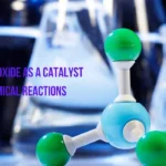 graphene oxide as catalyst