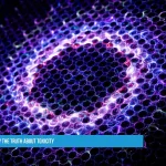 Is Graphene Oxide Safe