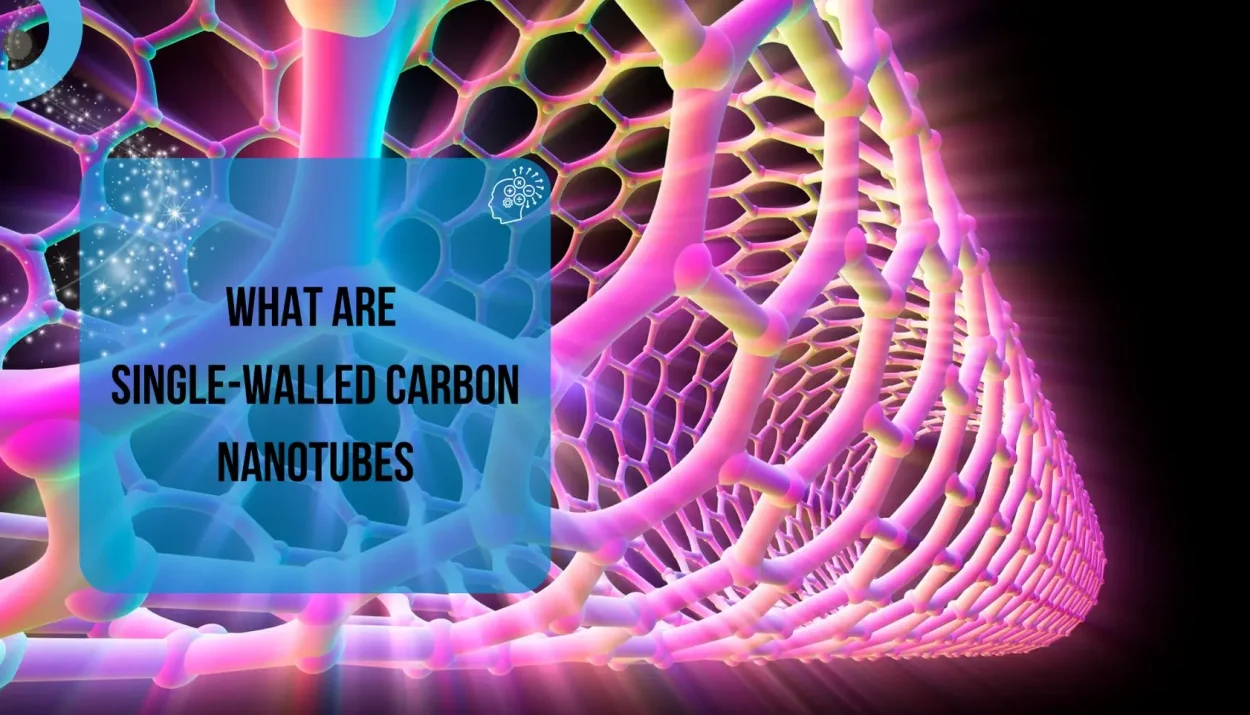 What Are Single-Walled Carbon Nanotubes