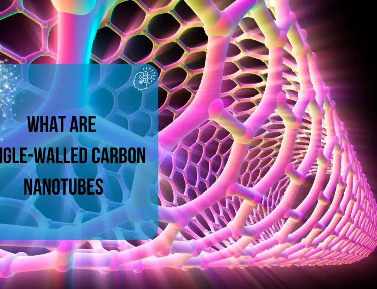What Are Single-Walled Carbon Nanotubes